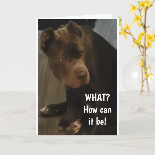 *60誕生日*このCANE CORSOカードより カード (黄色い花)