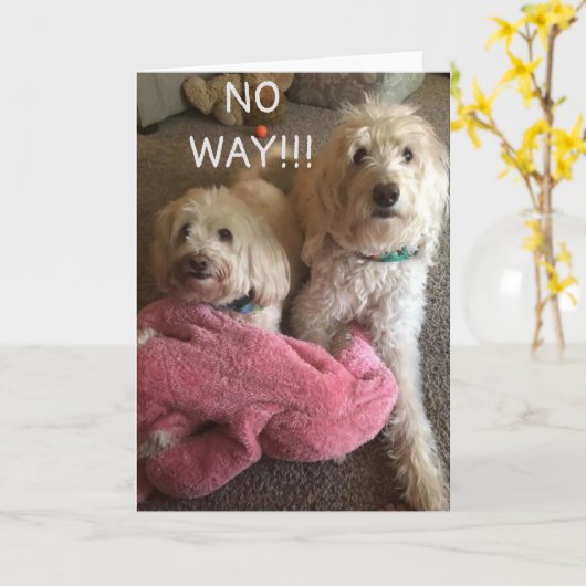 **60誕生日** WISHES FROM SOME CUTE UPS CARD カード (黄色い花)