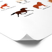 60馬品種チャート ポスター (角)