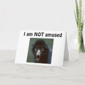 **60?** 59を超える日は見えませんか？?誕生日 カード (正面)