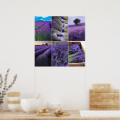 60.96x60.96cm, Lavande poster (mat) ポスター (キッチン)