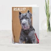 ***60*** AND YOU STILL LOOK "FANTASIC" BIRTHDAY  C カード (正面)