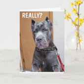 ***60*** AND YOU STILL LOOK "FANTASIC" BIRTHDAY  C カード (黄色い花)