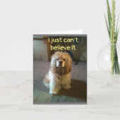 ***60*** ITカード信じなし カード (正面)