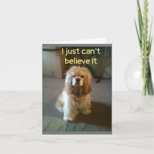 ***60*** ITカード信じなし カード (正面)