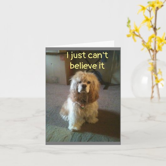 ***60*** ITカード信じなし カード (黄色い花)