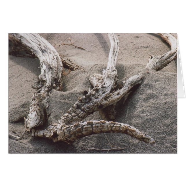 61.木製のアントラーラック (正面横)