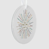 63国立公園マップギフトUSパークヴィンテージカムピン オーナメント (正面)