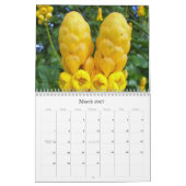 637の2009カリブのカレンダー カレンダー (3月 2027)