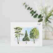 63；オーストラリアの木 ポストカード (スタンド正面)