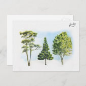 63；オーストラリアの木 ポストカード (正面/裏面)