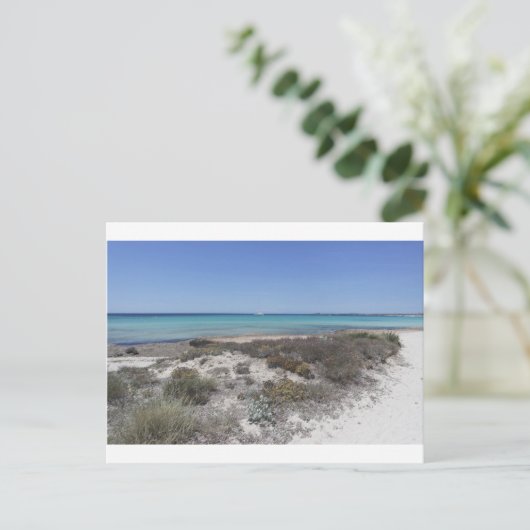 64-SOL16-168-3266 ポストカード (スタンド正面)