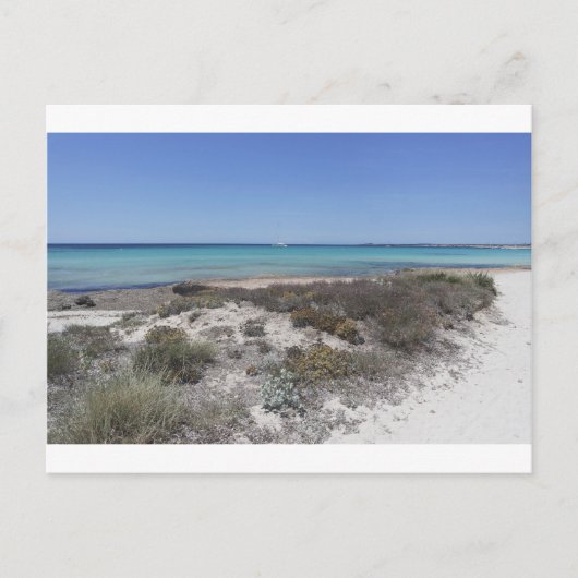 64-SOL16-168-3266 ポストカード (正面)