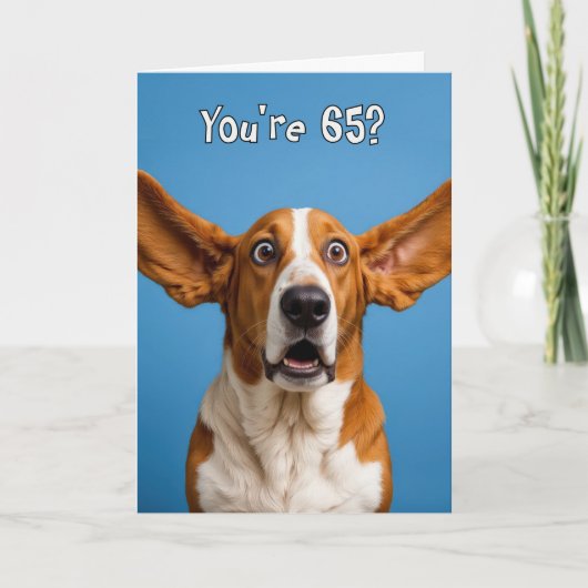 65歳の誕生日 バセットハウンドの犬のユーモア カード (正面)