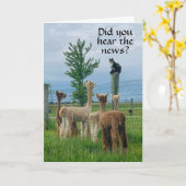 **65番目の誕生日**は、それほど悪いカードではないといううわさ カード (黄色い花)