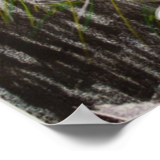 65番 ポスター (角)