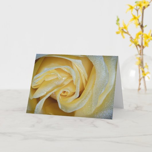 6557 – 黄色バラ（露） カード (黄色い花)