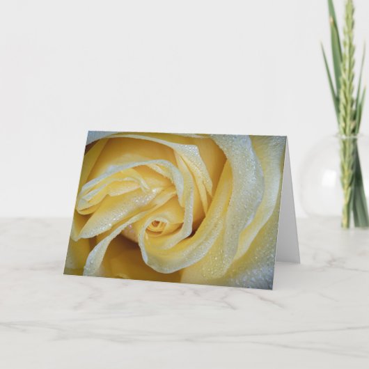 6557 – 黄色バラ（露） カード (正面)