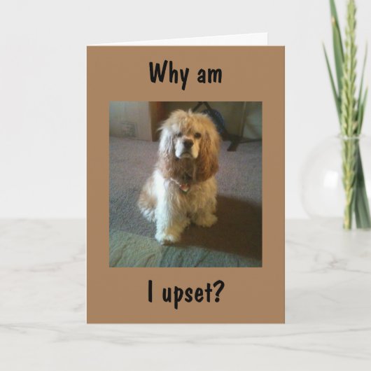 "65"を回し、まだ"21"を見て動揺！カード カード (正面)