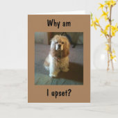 "65"を回し、まだ"21"を見て動揺！カード カード (黄色い花)