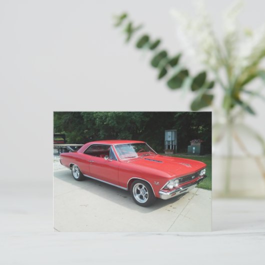 66'シボシボ ポストカード (スタンド正面)