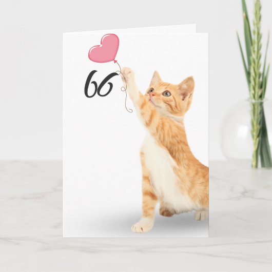 66歳の誕生日トラ猫 カード (正面)