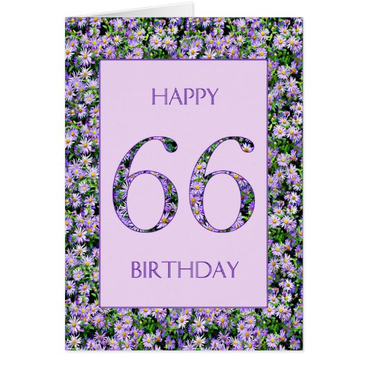 66誕生日紫デイジー (正面)