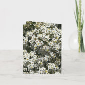 66thアニバーサリー編集可能 カード (裏面)