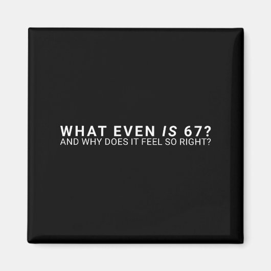 67って何なの?ミーム マグネット (正面)