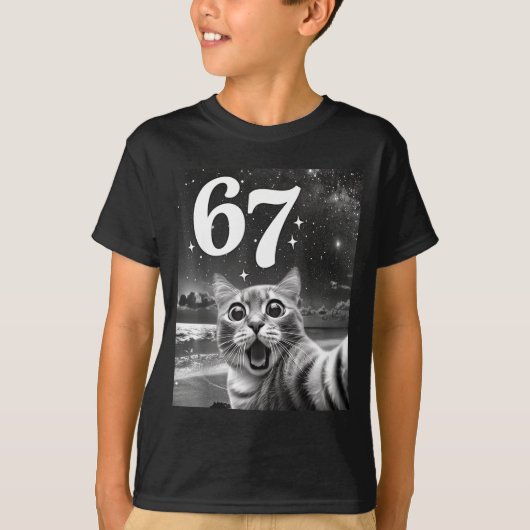 67ミーム 猫 自撮り 男性向け 楽しい 猫 グラフィック Tシャツ (正面)