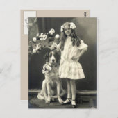 67匹の動物たち ポストカード (正面/裏面)