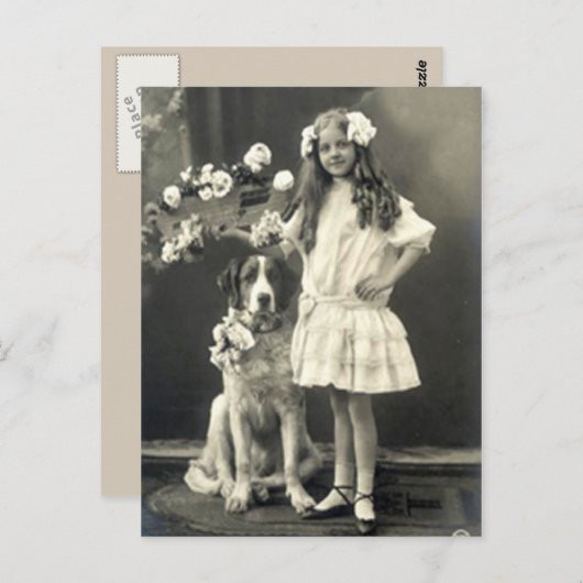 67匹の動物たち ポストカード (正面/裏面)