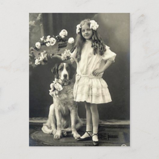 67匹の動物たち ポストカード (正面)