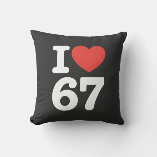 67大好き クッション (正面)