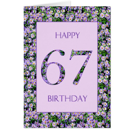67誕生日紫デイジー (正面)