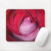 6727 – 赤、白、ピンクのバラ マウスパッド (マウス)
