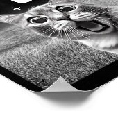 67 猫ミーム 楽しい猫のグラフィック 猫の自撮り メンズ向け ポスター (角)