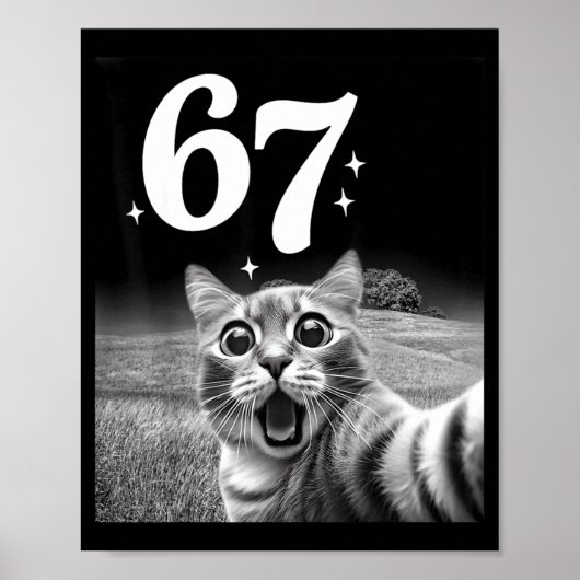 67 猫ミーム 楽しい猫のグラフィック 猫の自撮り メンズ向け ポスター (正面)