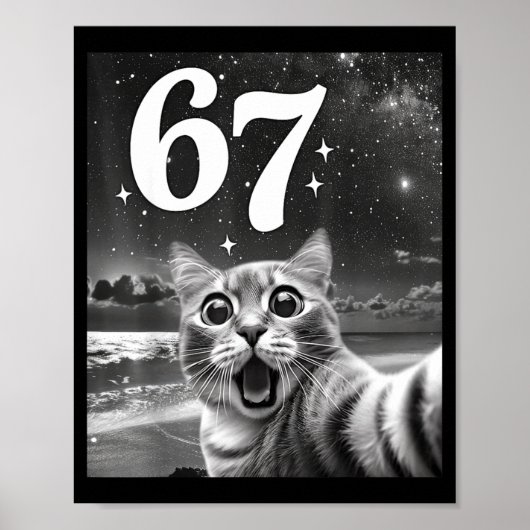 67 猫ミーム 楽しい猫 グラフィック メンズ 自撮り ポスター (正面)