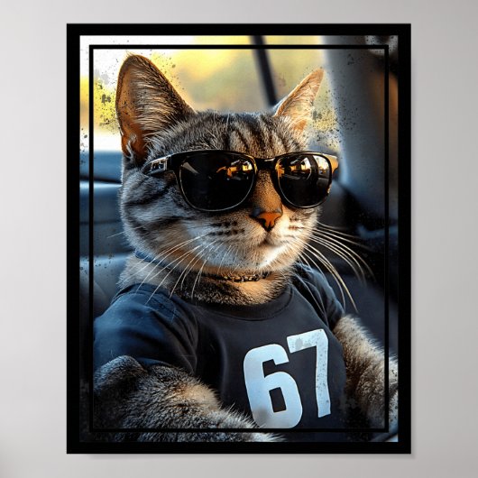 67 And Still Cool Funny Birthday Meme Cat ポスター (正面)