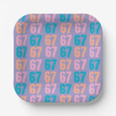 67 Disposable Plates ペーパープレート (正面)