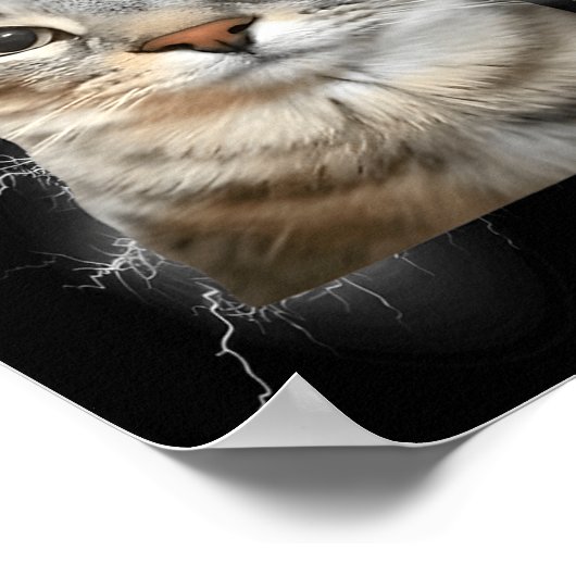 67 Meme Cat Howling At Moon Brainrot Funny 6 7 ポスター (角)