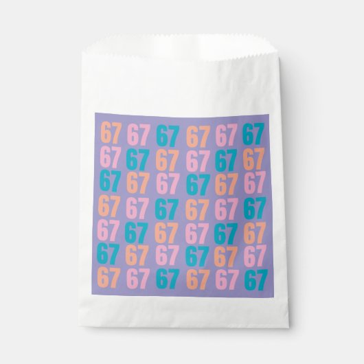 67 Party Favor Bags フェイバーバッグ (正面)