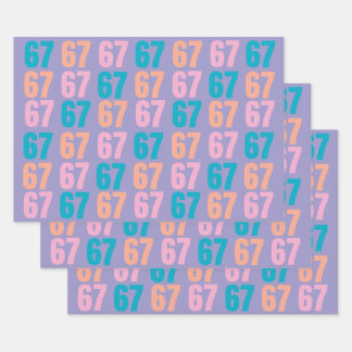 67 Wrapping Paper Flat Sheet Set of 3 ラッピングペーパーシート