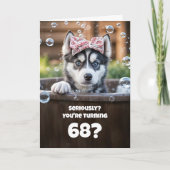 68歳の誕生日 かわいいフンキーなハスキー犬バブルズ カード (正面)