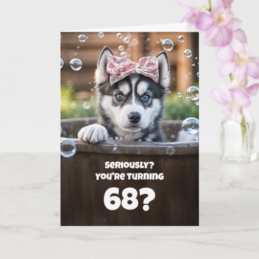 68歳の誕生日 かわいいフンキーなハスキー犬バブルズ カード (蘭)