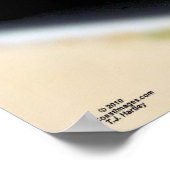 69シベレのポスター ポスター (角)