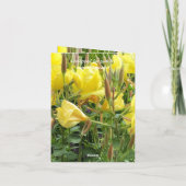 69th Anniversary編集可能カード カード (裏面)