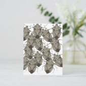 6-07-14 stink bugs rev.png ポストカード (スタンド正面)