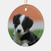 6 1週間目のボーダーコリー セラミックオーナメント (左)